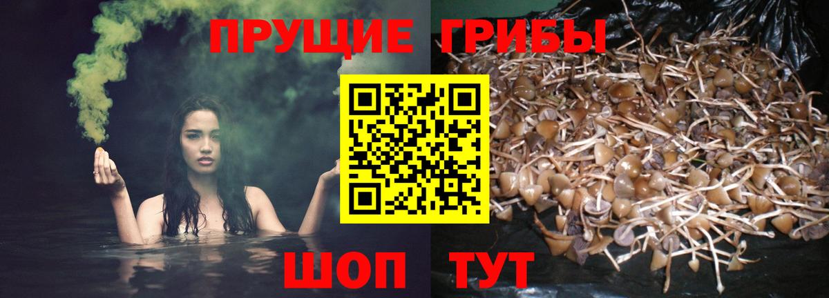 Галлюциногенные грибы мицелий Орёл